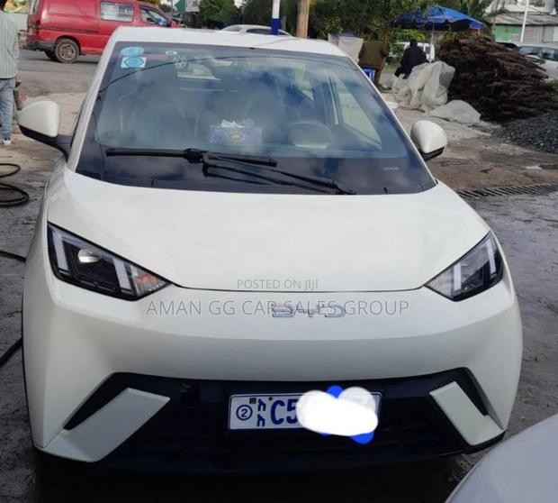 BYD Seagull 2023 Teal