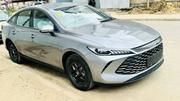 New BYD Qin Plus DM-i 2025 Gray for sale