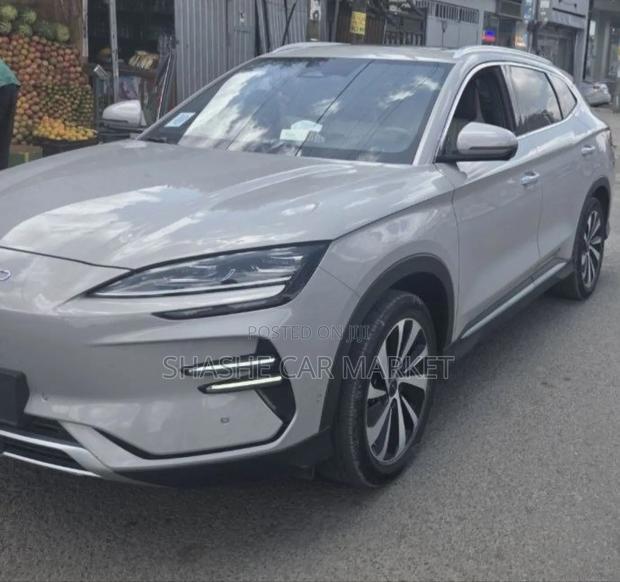 BYD Song Plus 2024 Gray