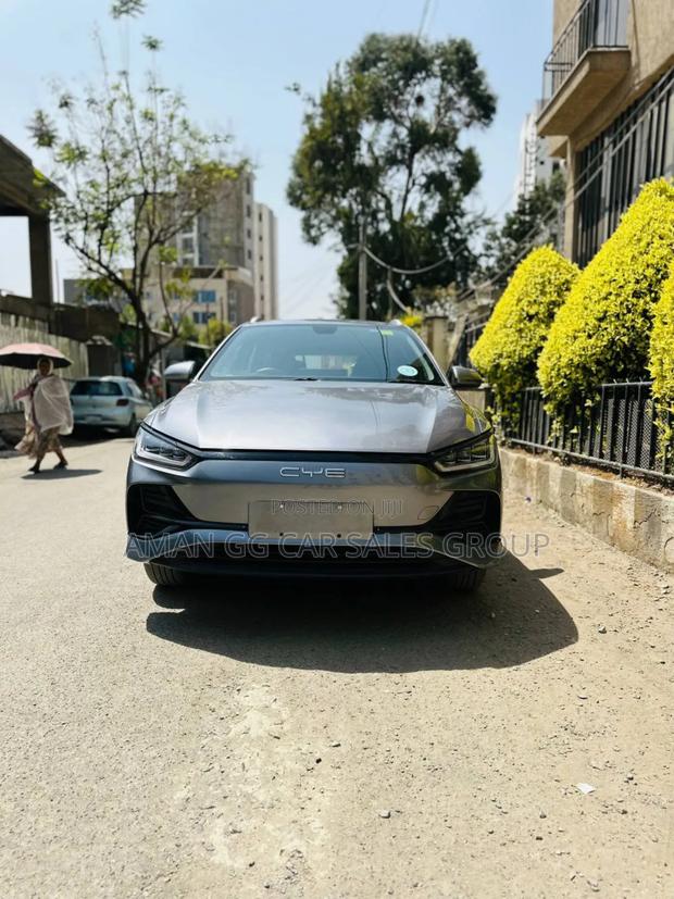 BYD E2 43 kWh 94 hp FWD 2025 Gray