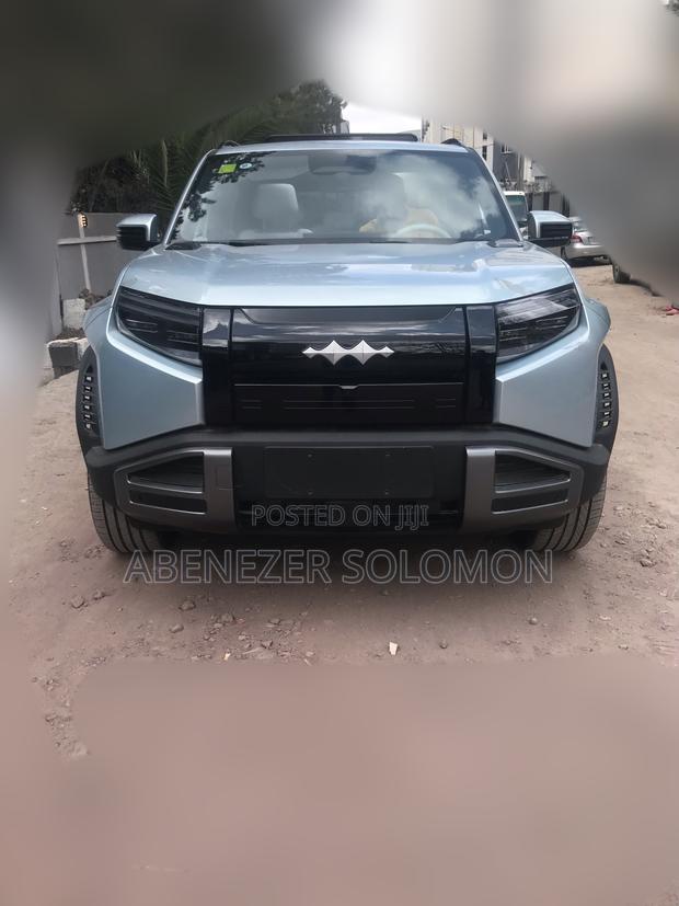 New BYD Leopard 3 2025 Gray
