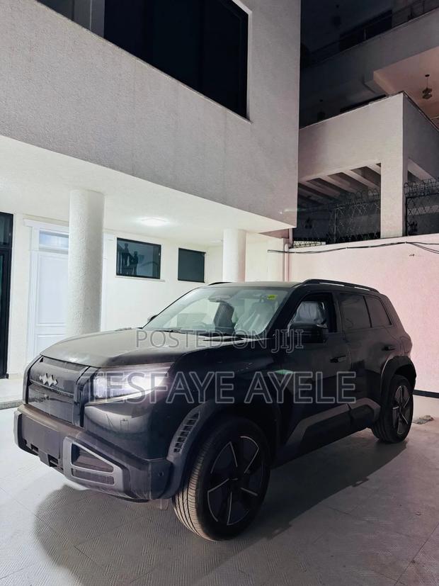 New BYD Leopard 3 Max 2025 Black