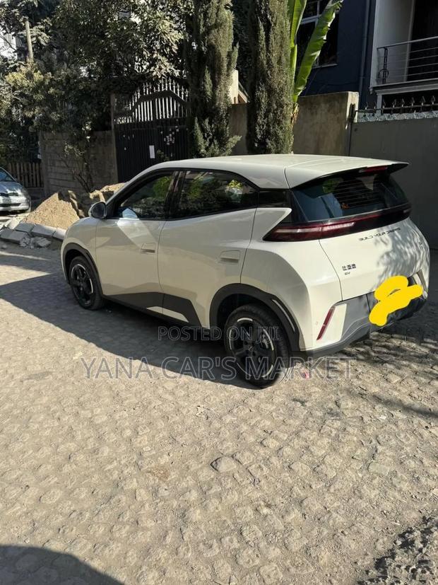 BYD Seagull 2024 Ivory
