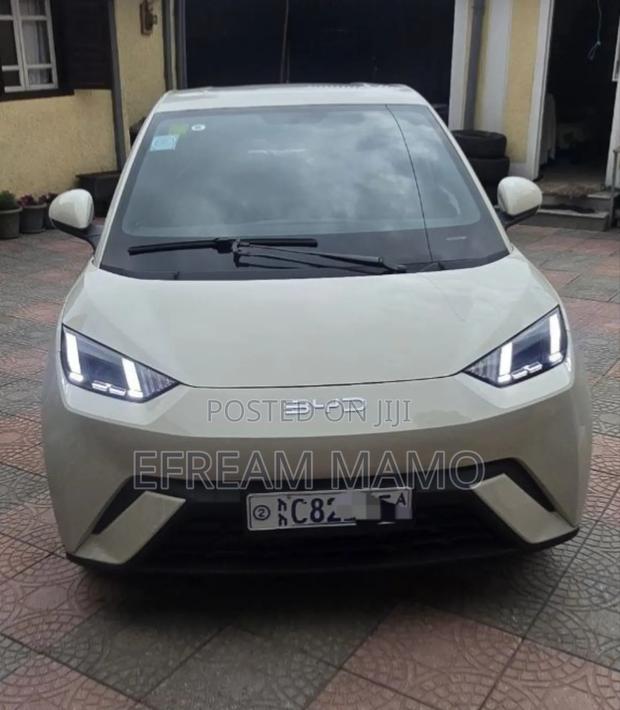 BYD Seagull 2025 White