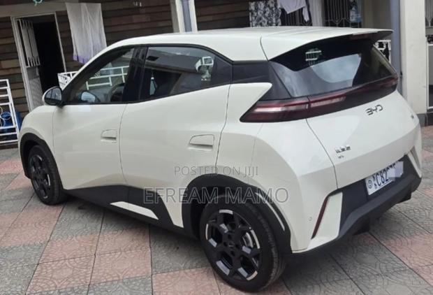 BYD Seagull 2025 White