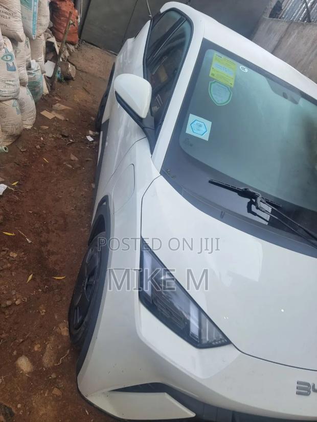 BYD Seagull 38 kWh FWD 2024 White