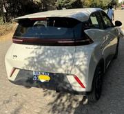 BYD Seagull 2024 White for sale