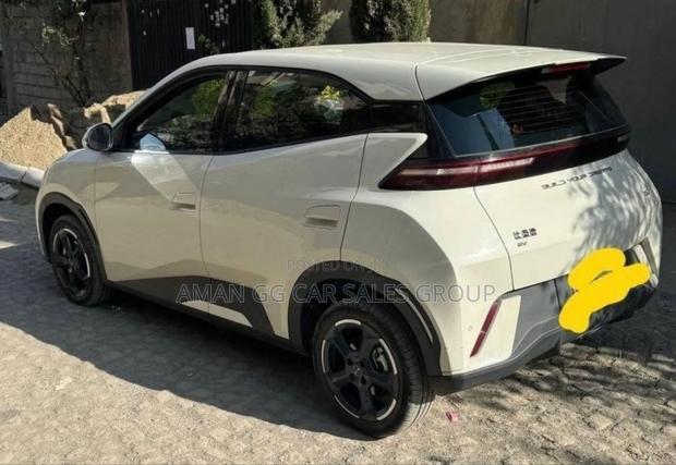 BYD Seagull 2024 White