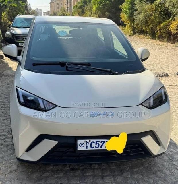 BYD Seagull 2024 White