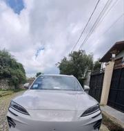 BYD Song Plus 2025 Teal for sale