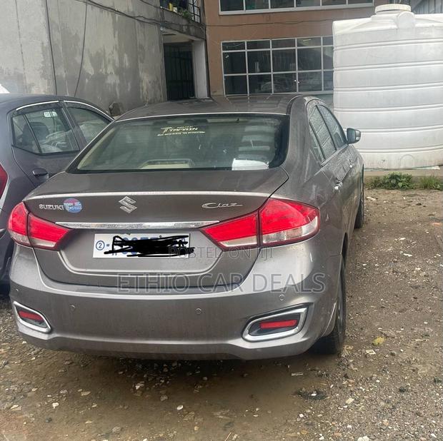 Suzuki Ciaz 2019 Brown
