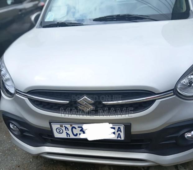 Suzuki Celerio 2022 Silver