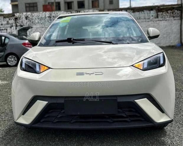New BYD Seagull 2025 White