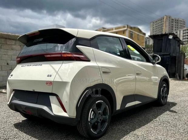 New BYD Seagull 2025 White