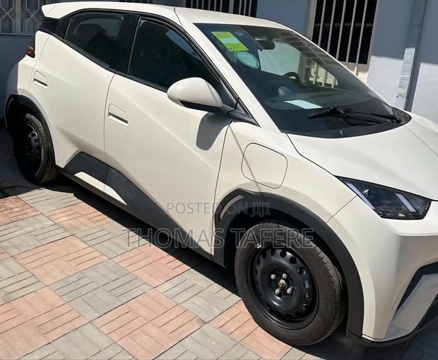 BYD Seagull 2024 White