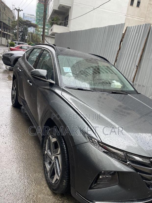 Hyundai Tucson Limited 2023 Gray
