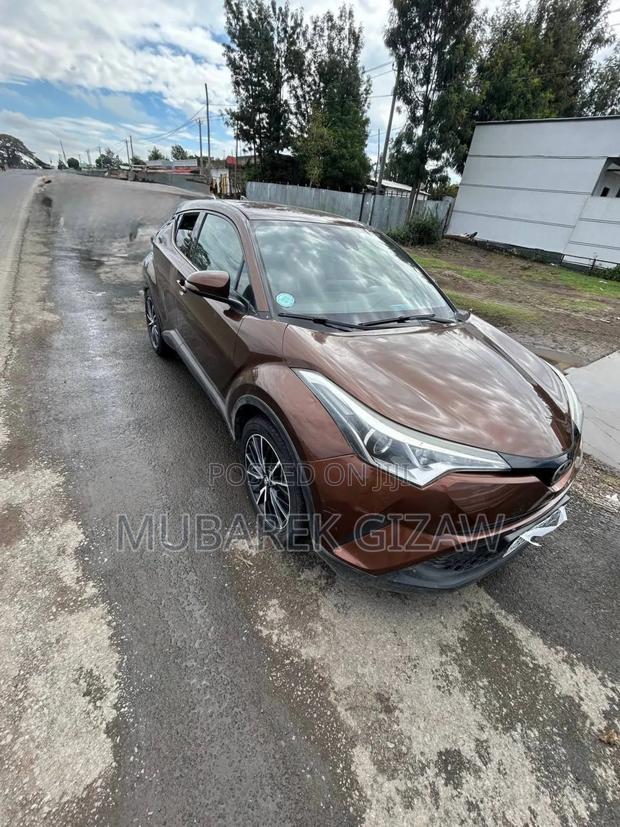 Toyota C-HR 2017 Brown