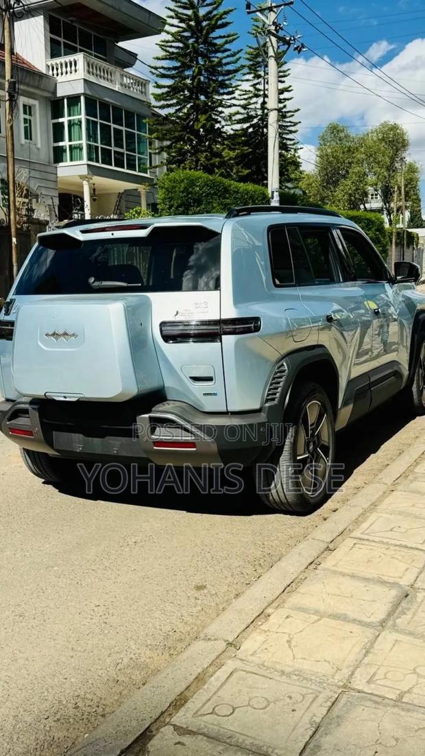 New BYD Leopard 3 2025 Gray