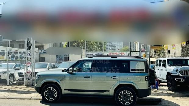 New BYD Leopard 7 2025 Gray