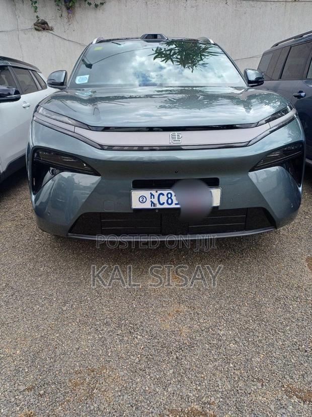 BYD Tang DM-i 2025 Gray