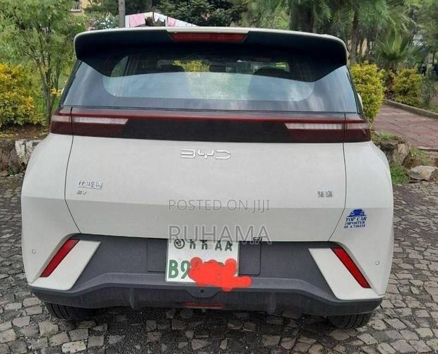 BYD Seagull 2024 White