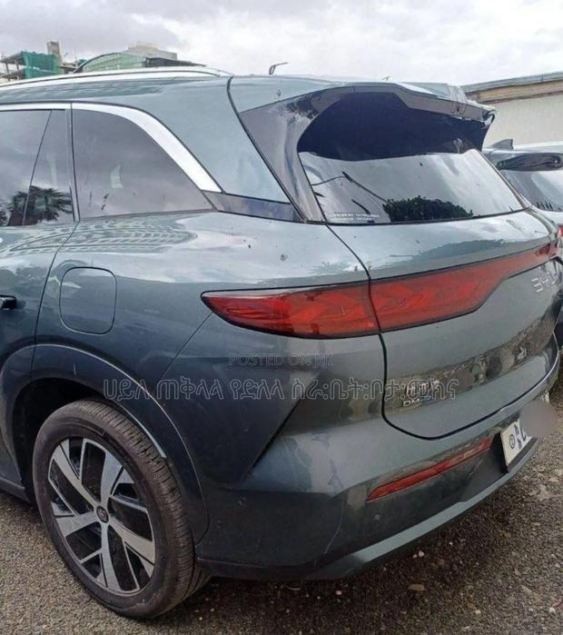 New BYD Tang DM-i 2025 Green