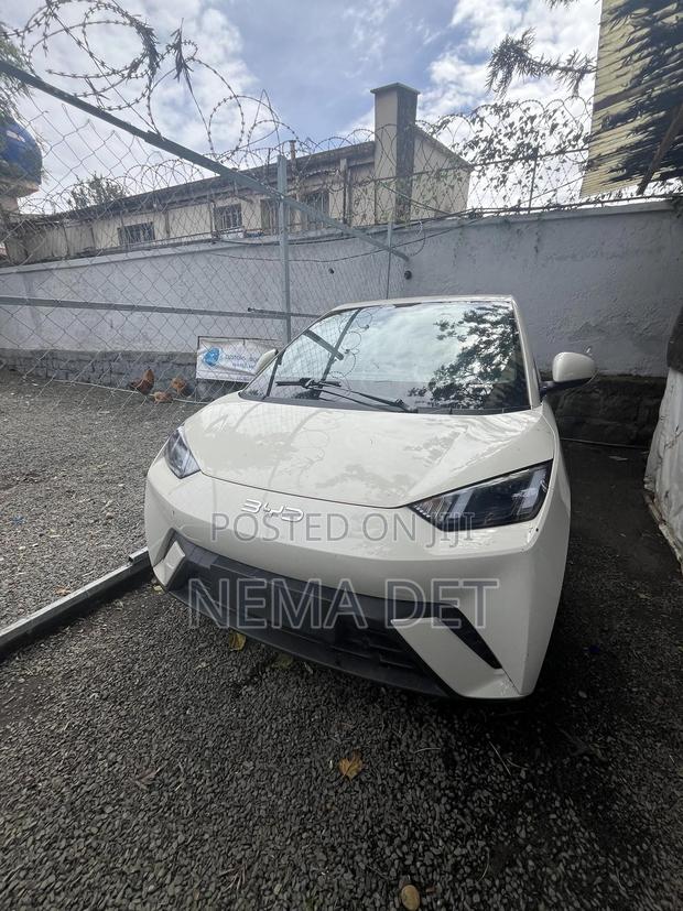 New BYD Seagull 2025 White