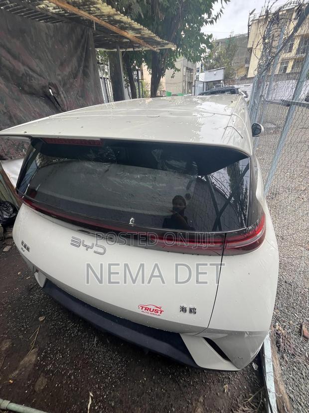 New BYD Seagull 2025 White