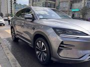 BYD Song Plus 2025 Gray for sale