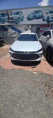 New BYD Qin Plus DM-i 2025 White for sale