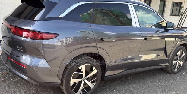 New BYD Tang DM-i 2025 Gray