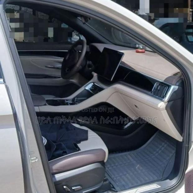 BYD Song Plus 2025 Pink