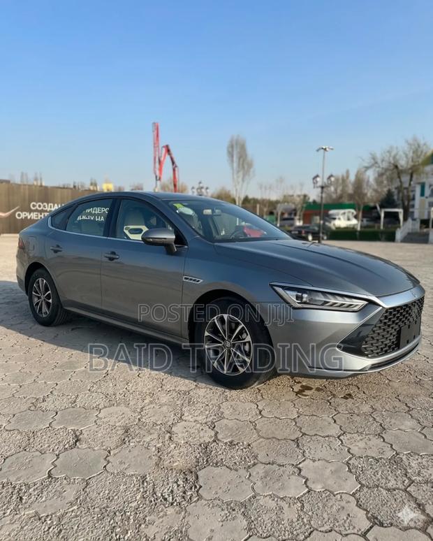 New BYD Qin Plus DM-i 2025 Gray