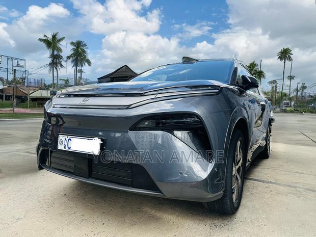 New BYD Tang EV 2025 Gray