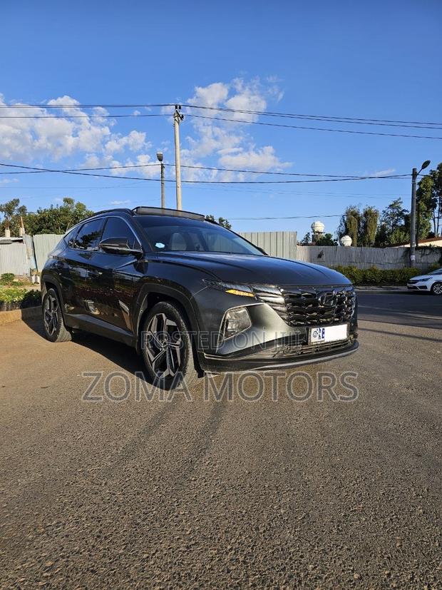Hyundai Tucson Limited 2021 Silver