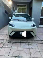BYD Seagull 2025 White for sale