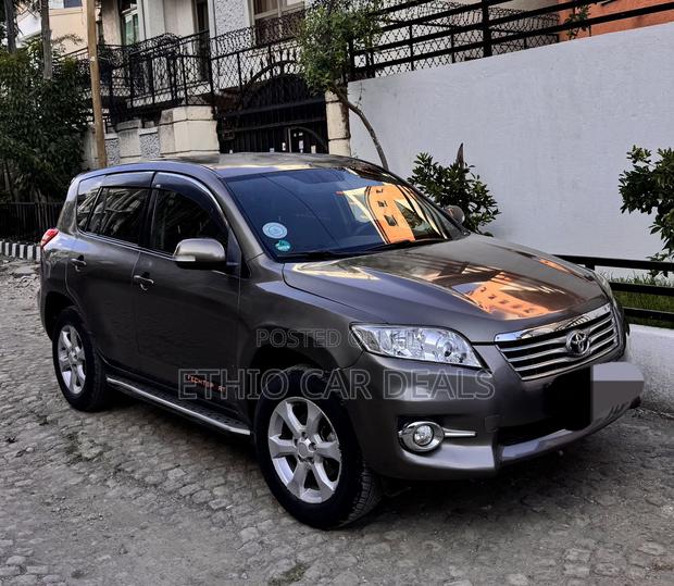 Toyota RAV4 2011 Brown