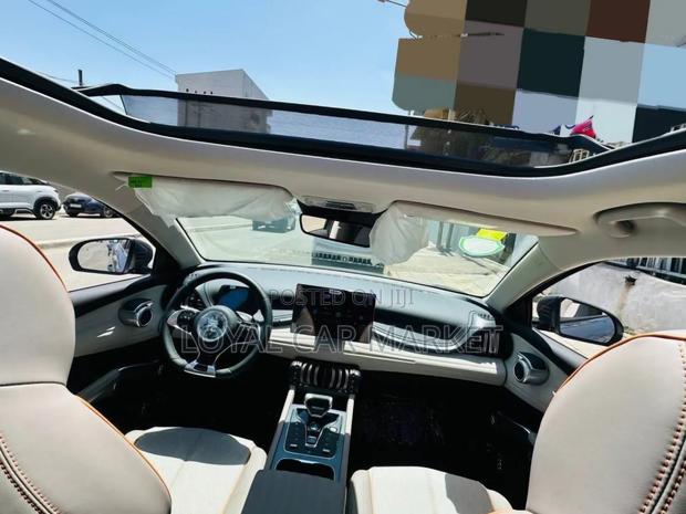 BYD Yuan Plus 2025 Gray