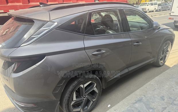 Hyundai Tucson Limited 2023 Brown