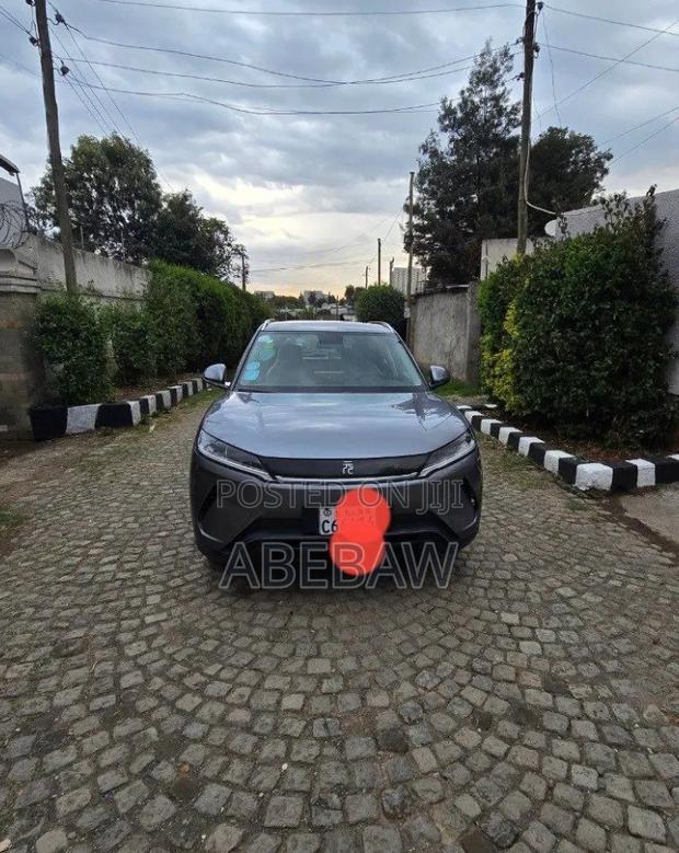 BYD Yuan Up 2024 Gray