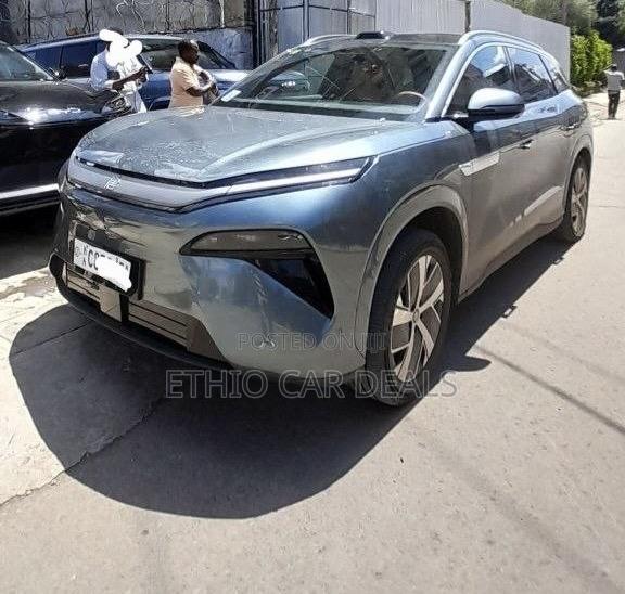 BYD Tang DM-i 2025 Green