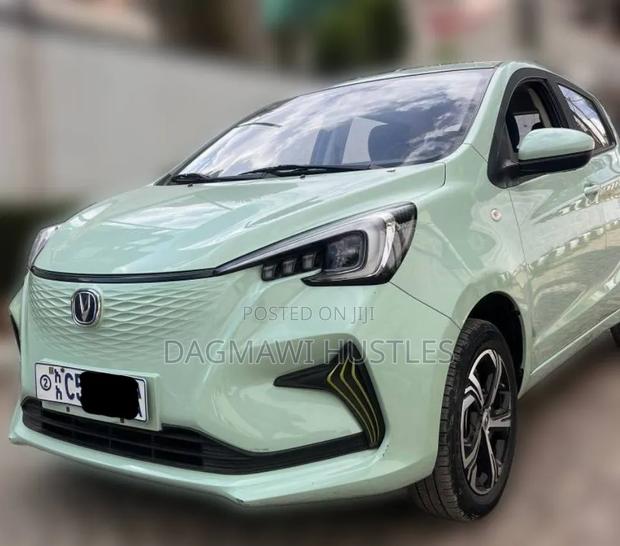 Changan BenBen E-Star 32 kWh FWD 2023 Green