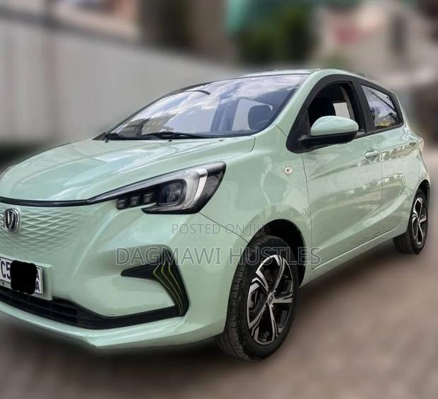 Changan BenBen E-Star 32 kWh FWD 2023 Green
