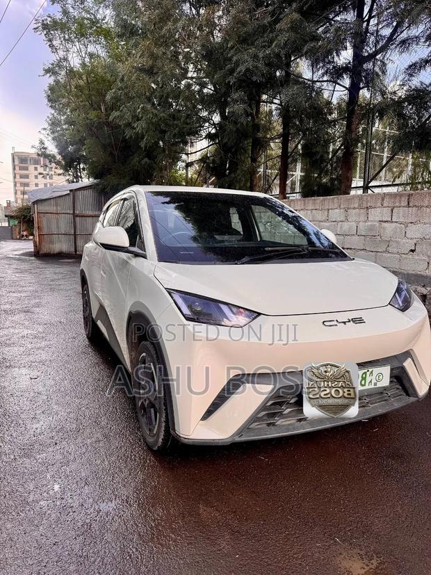 New BYD Seagull 2023 White