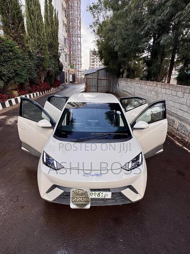 New BYD Seagull 2023 White