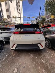New BYD Seagull 2025 White for sale