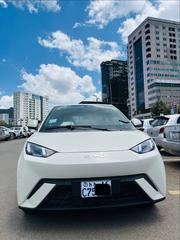 BYD Seagull 2025 White for sale
