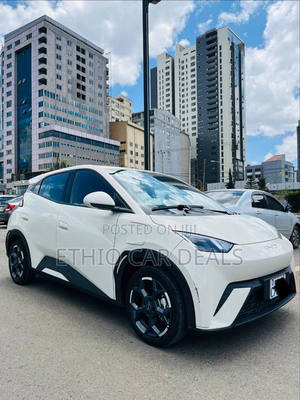 BYD Seagull 2025 White