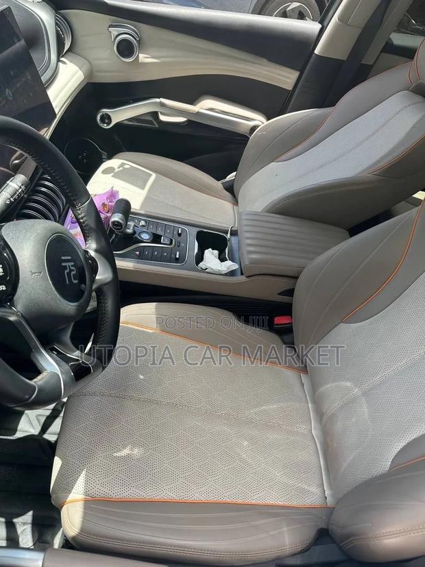 BYD Yuan Plus 2023 Gray
