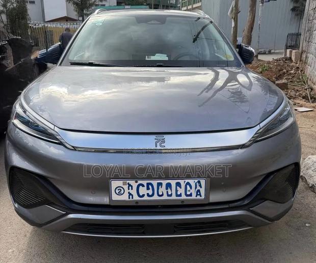 BYD Yuan Plus 2024 Gray